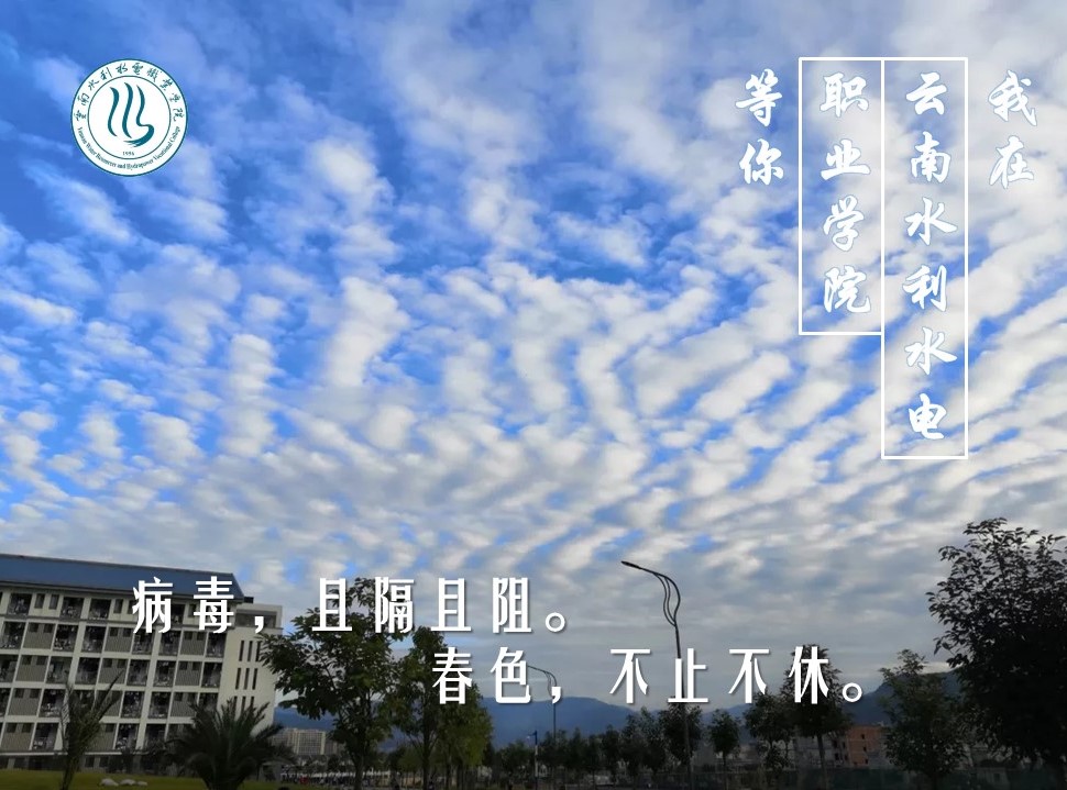 19.jpg 19.jpg
